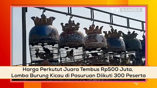 Harga Perkutut Juara Tembus Rp500 Juta, Lomba Burung Kicau di Pasuruan Diikuti 300 Peserta 