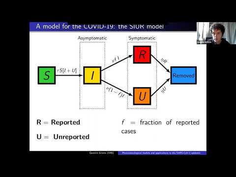 Phenomenological models and applications to the SARS-CoV-2 epidemic