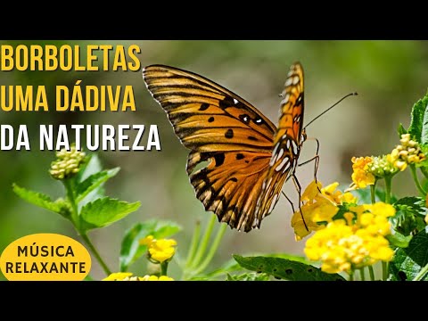 Borboletas - Uma Dádiva da Natureza - Música Relaxante