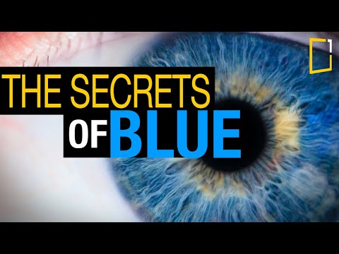 The Fascinating Rarity of Blue in Nature