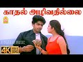 Kadhal Azhivathillai 4K SAD Song காதல் அழிவதில்லை Silambarasan Charmy 