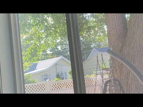 watch – Neptune's Staircase