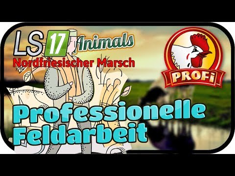 Professionelle Feldarbeit #072 ANIMALS - LS17 NORDFRIESISCHER MARSCH ★  FARMING SIMULATOR 17
