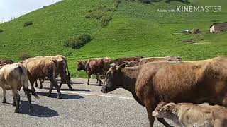 preview picture of video 'Taldyk Pass, Krygzystan'