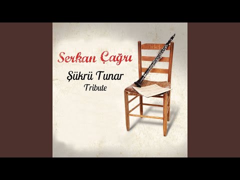 Seni Gormeseydim