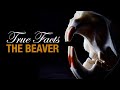 True Facts: The Beaver