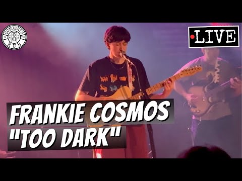 Frankie Cosmos "Too Dark" LIVE