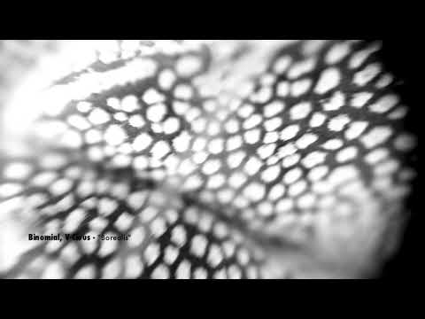 Binomial, V-Cious - Borealis (Traum V272)