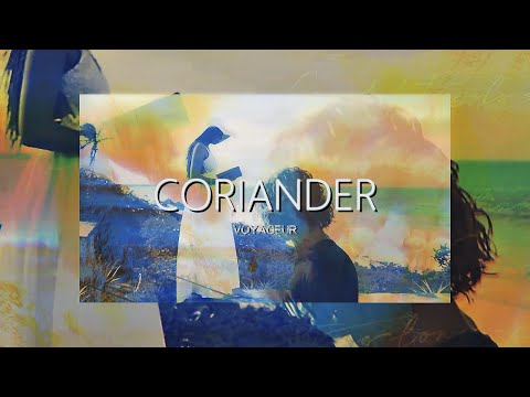 Coriander (Music Video) - Voyageur | A s h R a w A r t