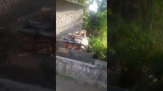 Download lagu Lokasi Syuting Si Doel Anak Betawi#Okt 2024 mp3