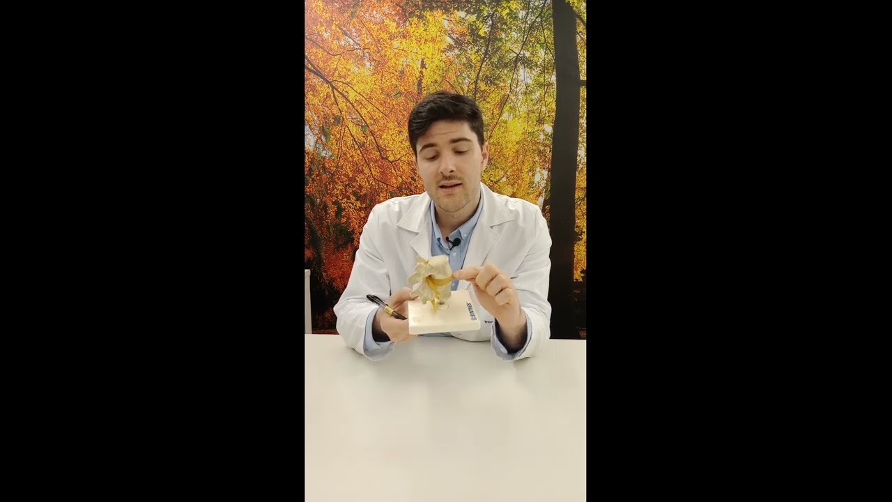 Pablo De La Fuente Villa-16