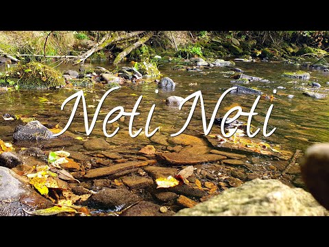 Neti Neti | Guided Meditation