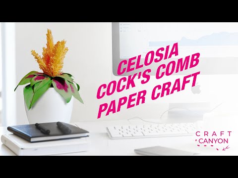 How to make Celosia or Cockscomb flower craft || Craft Canyon
