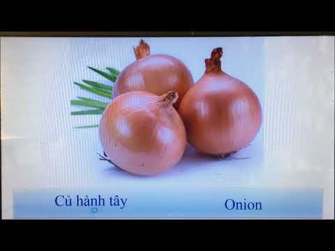 Learning Vietnamese Classifiers, important Two-Word Rules; Lesson 13:  Words looks like Classifiers