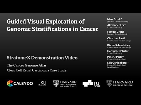 Guided Visual Exploration of Genomic Stratifications in Cancer