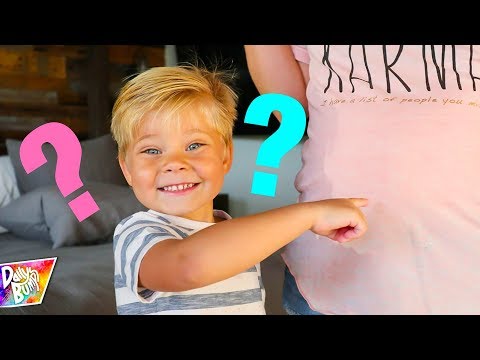Baby Brother or Baby Sister? 💙 💗 Video