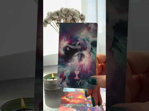 Его мысли. Чувства. Действия 🤍