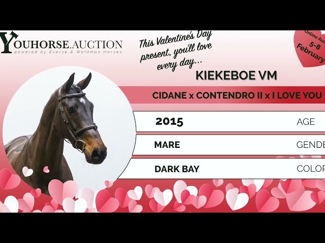 Kiekeboe @ show