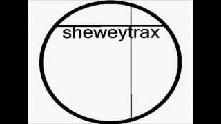 Live Better Electrically - Funky Future (Vocal) 1996 SHEWEY TRAX