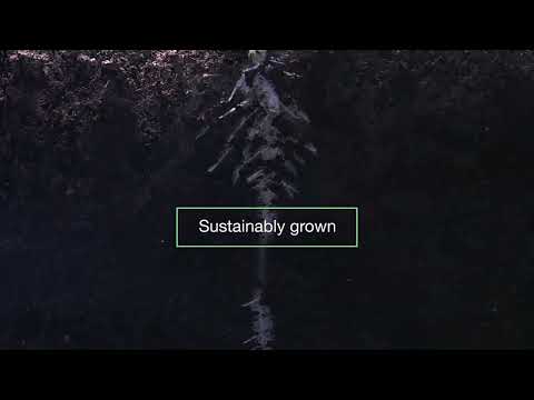 Arevo - Precision Nutrition