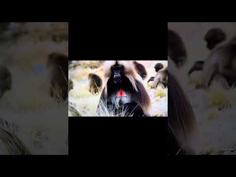 Generik "last living souls" #alternativehiphop #beats #lyrics  #hiphopmusic #underground hip hop