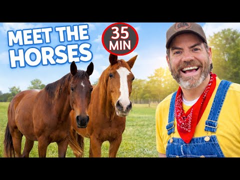 Meet Our New Horses With Farmer Jason 🐴 -Learning About Animals For Kids
