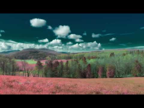 Briars of North America "Hallowell" (official music video)