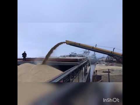 Загрузка судна Волго-Дон 5017 зерном ленточным конвейером Convey-All