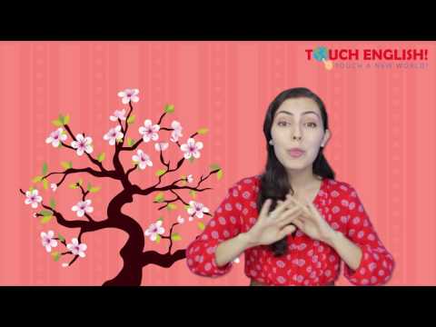 Touch English! Songs - We Love Tet Holiday