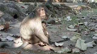 VID20250107142950 short 10