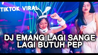 Download lagu DJ EMANG LAGI SANGE LAGI BUTUH PEP X TAK SEDALAM INI TIKTOK VIRAL 2022 mp3