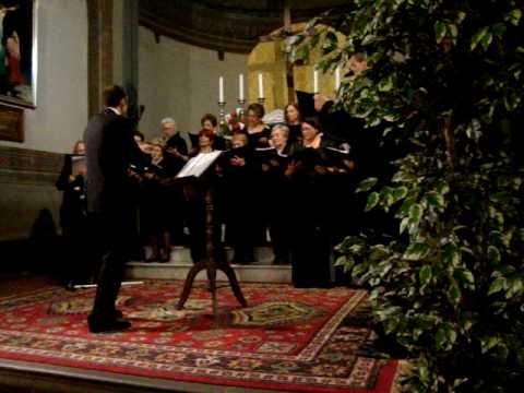 Ave Maris Stella Palestrina coro Salve Mater direttore Stefano Marcucci