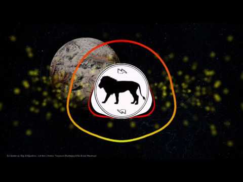 DJ Snake & Justin Bieber vs. Gigi D'Agostino - Love You Toujours (Rudeejay & Da Brozz Mashup)