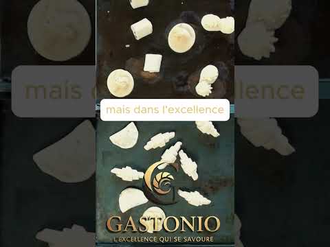 Aperçu rapide du robot Gastonio en 60 secondes