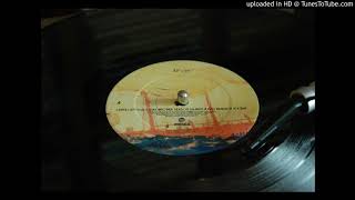 The avalanches - Stay Another Season (vinyl audio)