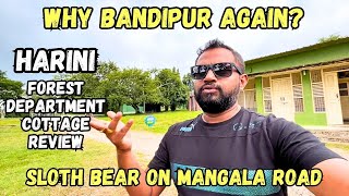 Had To Visit BANDIPUR Again For a Reason !!! Bandipur Tiger Reserve | Harini Cottage | Sloth Bear