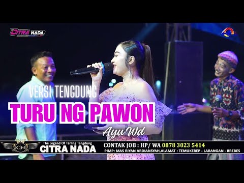 TURU NING PAWON ~ AYU WD // CITRA NADA LIVE DUKUH SAWAHREJO SELATAN - TEGALSARI TIMUR // PEMALANG