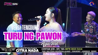 Download lagu TURU NING PAWON ~ AYU WD // CITRA NADA LIVE DUKUH SAWAHREJO SELATAN - TEGALSARI TIMUR // PEMALANG mp3