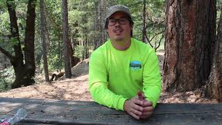 Fuel Reduction in Trinity County