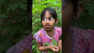 Download lagu #shorts || Burung berkembang Biak 🤣 mp3 Download lagu #shorts || Burung berkembang Biak 🤣 mp3