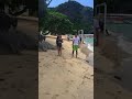 IMG 3962