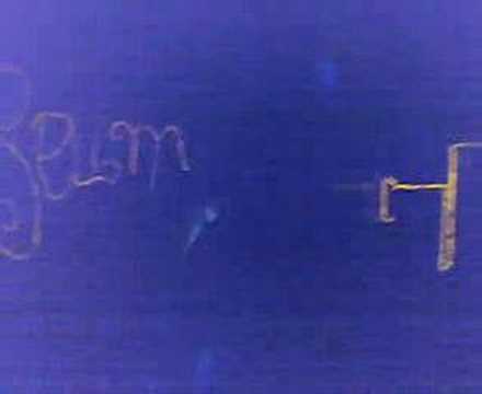 coliseum noche de reyes 2008 02