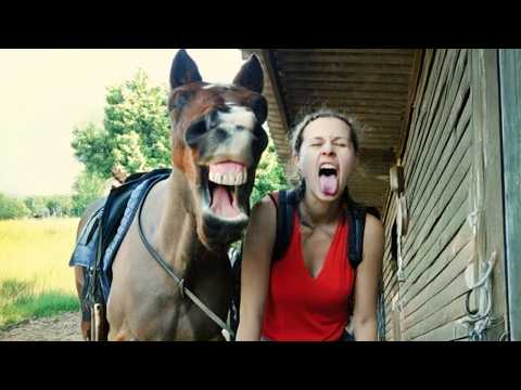 Des chevaux qui font des bêtises avec leurs humains 🤪 Les vidéos d'animaux les plus drôles