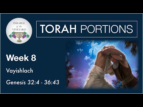 Torah Portions - Week 8 - Vayishlach - Genesis 32:4 - 36:43 (2020-2021)