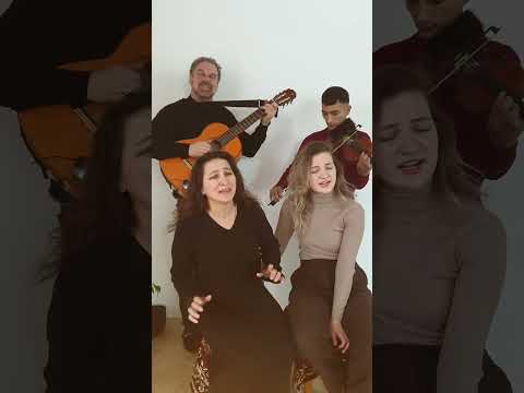 Маляркица 230115