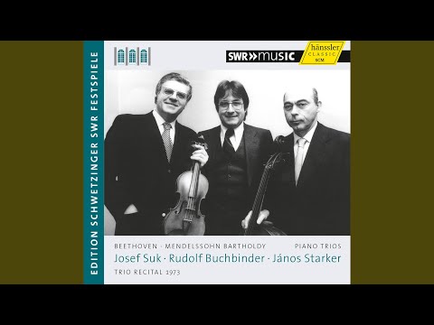 Piano Trio No. 3 in C Minor, Op. 1, No. 3: IV. Finale: Prestissimo