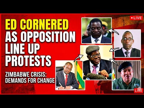 Protest scene in Zimbabwe