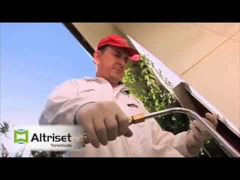 David Cloake testimonial on Altriset from Syngenta - 2016
