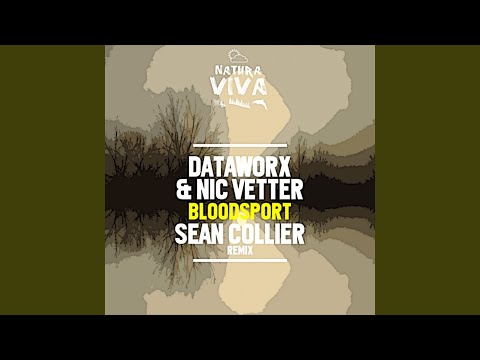 Bloodsport (Sean Collier Remix)