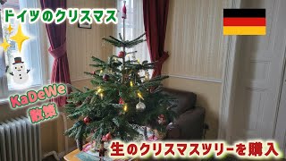 【ドイツのクリスマス】ベルリンの老舗デパートKaDeWe / パネトーネとチョコレート【本物のクリスマスツリー】Nordmann-Tanne #ドイツ生活